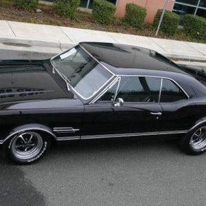 Meet your Posher, Bobby